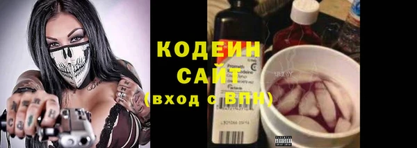 mix Богородицк
