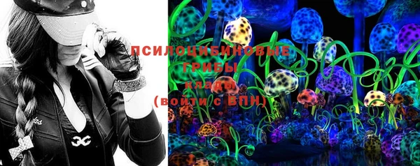 mix Богородицк