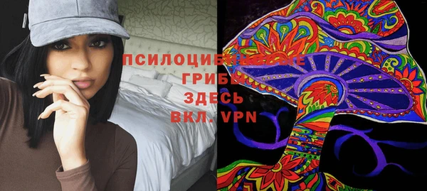 соль ск Лагань