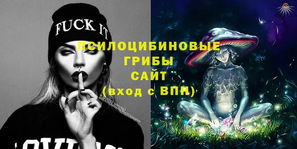 mix Богородицк