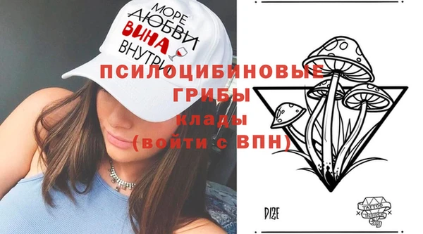 таблы Богданович