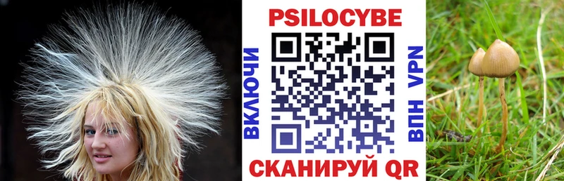 Псилоцибиновые грибы ЛСД  Верхняя Пышма 